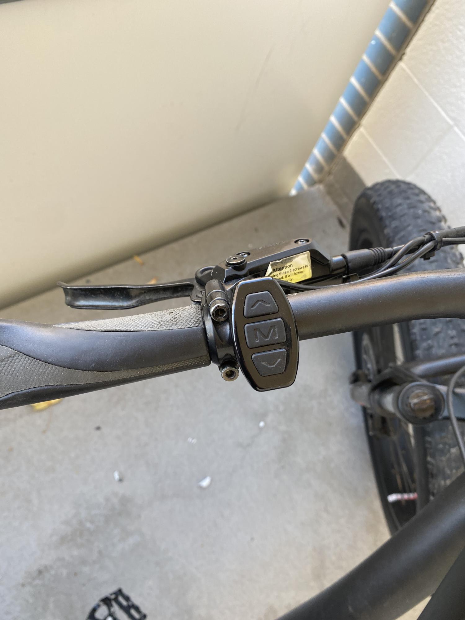 Ecotric Beach cruiser Black