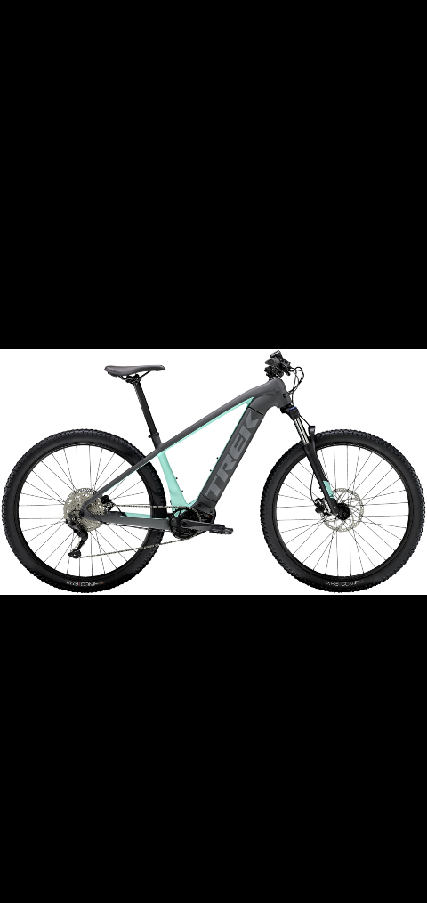 2024 Trek Powerfly 4 Silver, gray or bare metal and Teal
