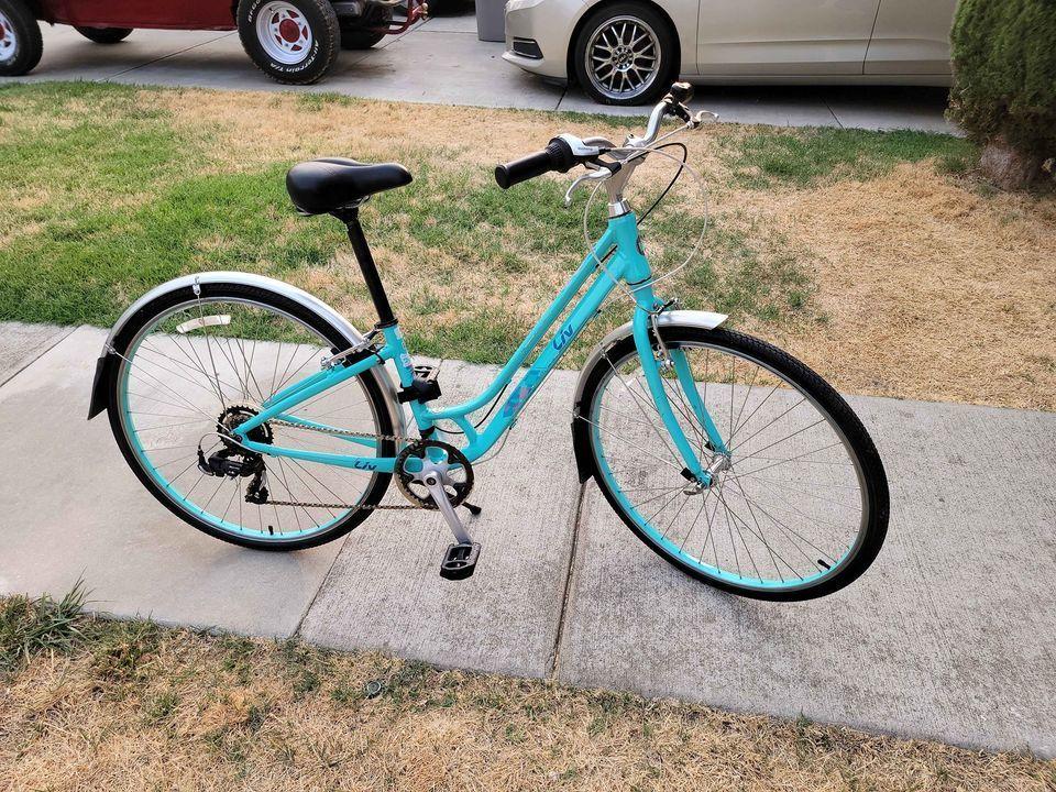 2018 Liv Flourish 4 Teal