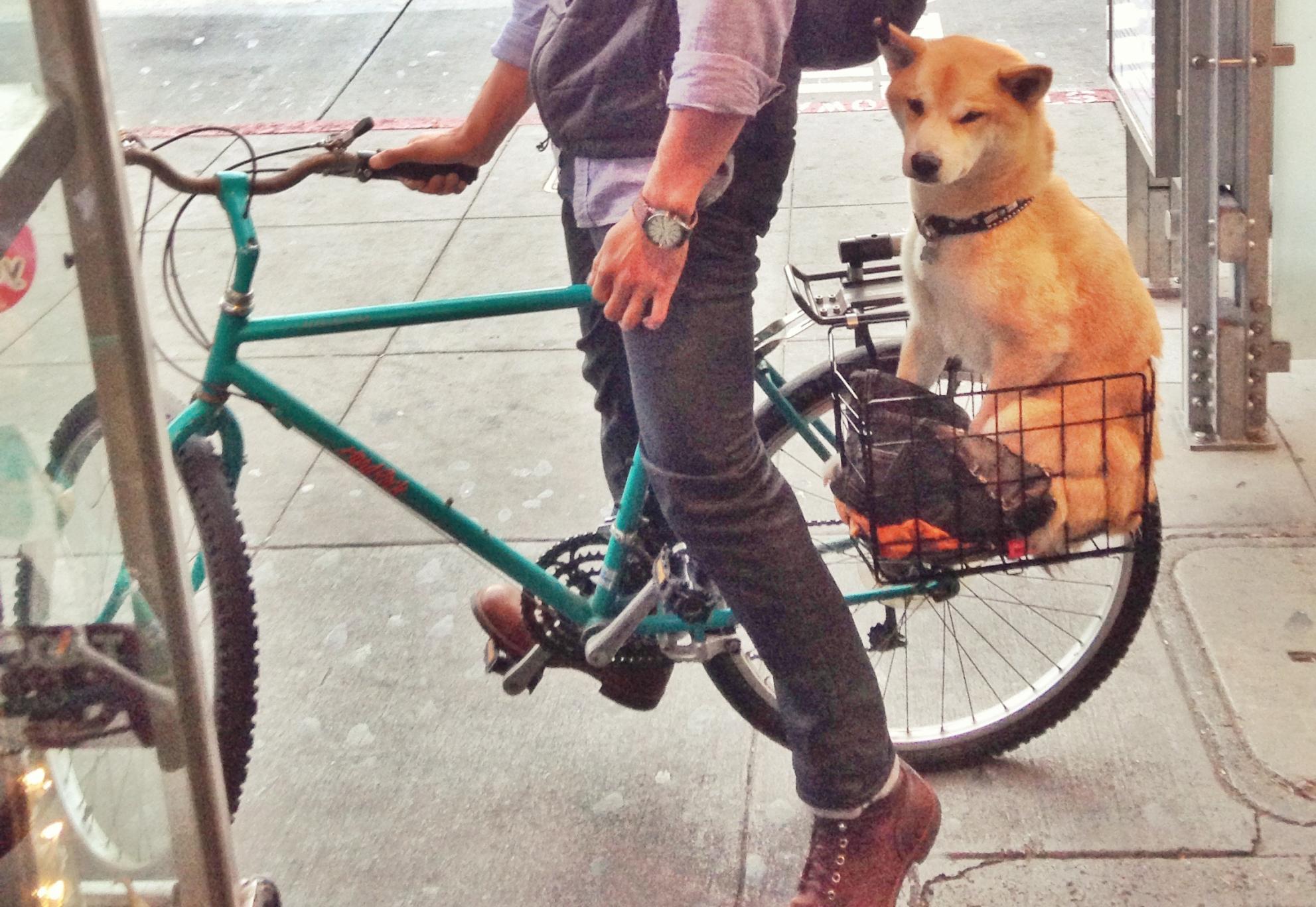 1996 Specialized Hard Rock  Teal