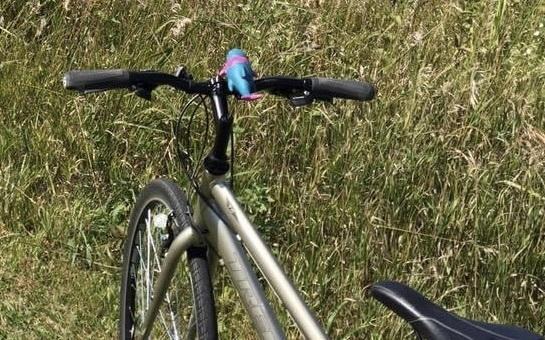 Trek 7.0 FX Yellow or Gold