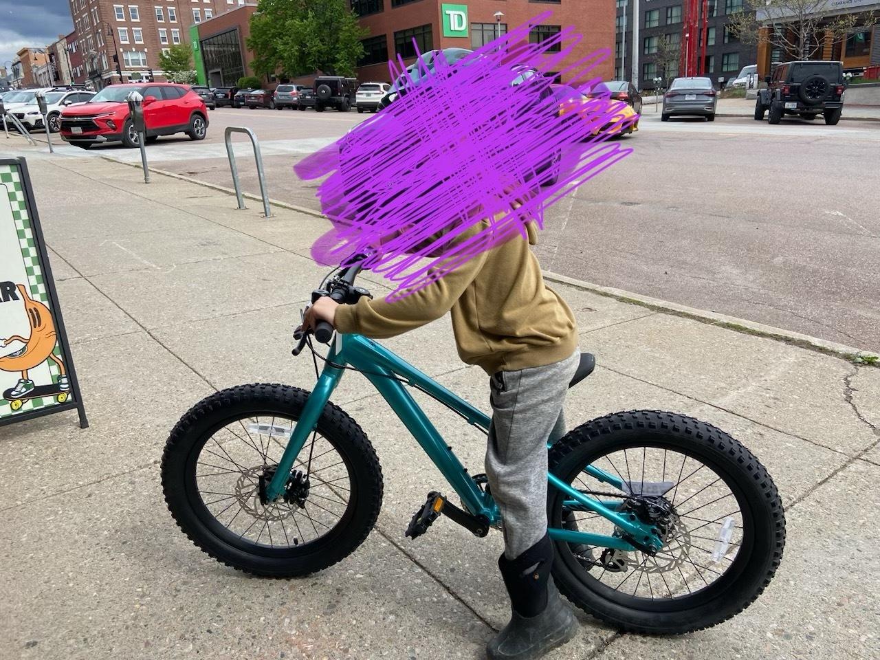 2023 STP Step through frame Teal