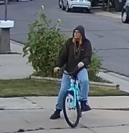 Himiway Big Dog Silver, gray or bare metal