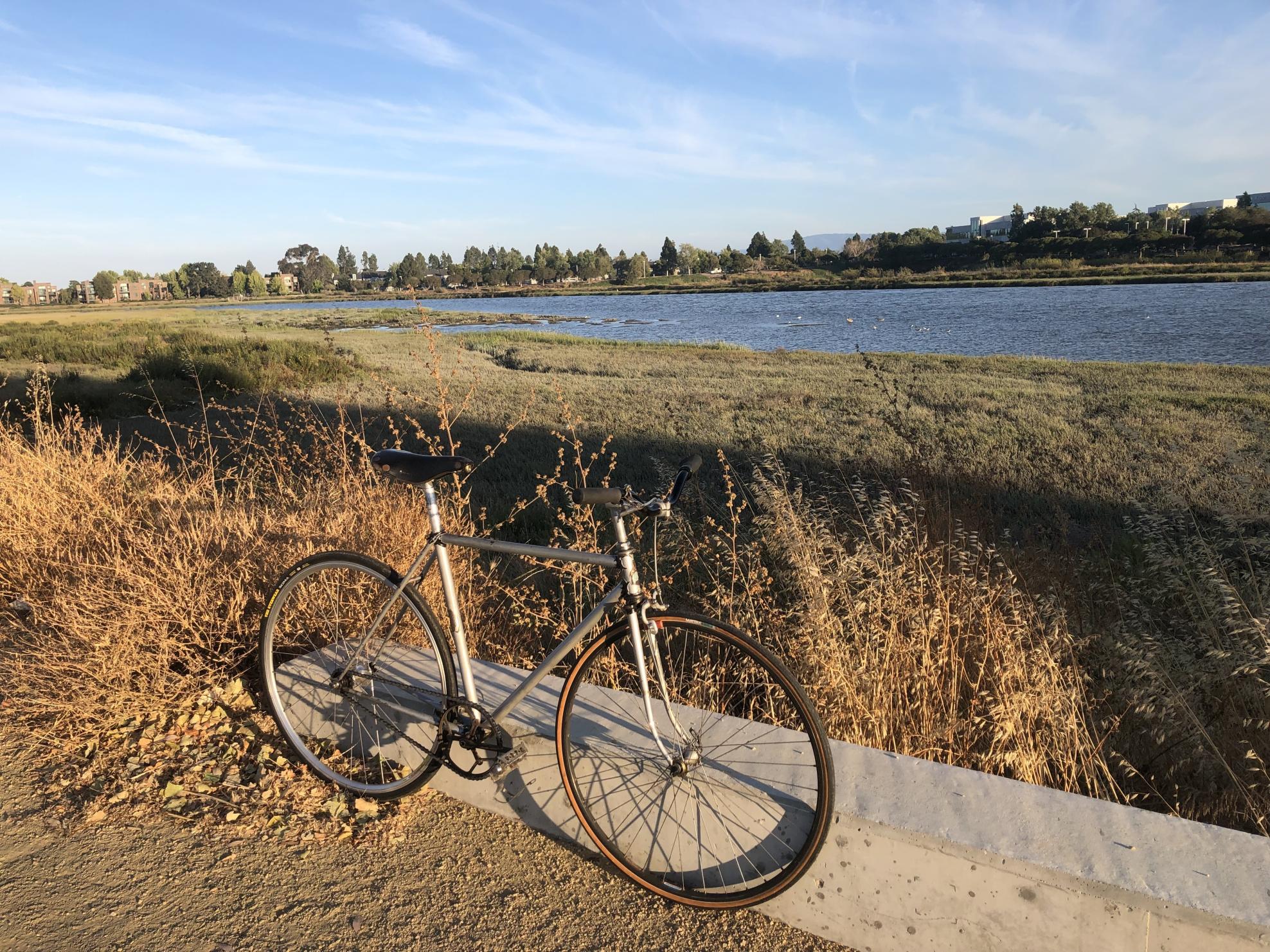 1952 Rochet Track Silver, gray or bare metal