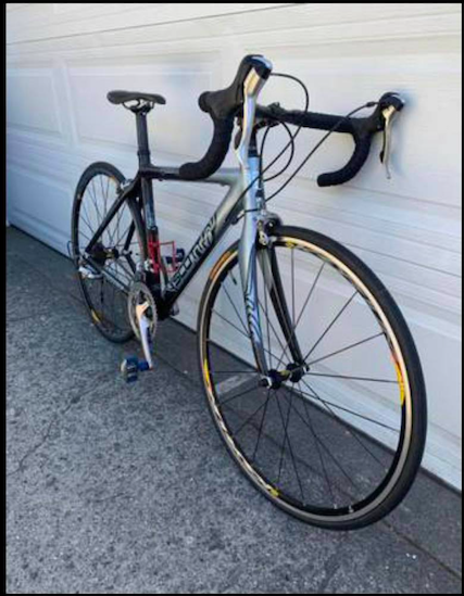 SCOTT Contessa Blue