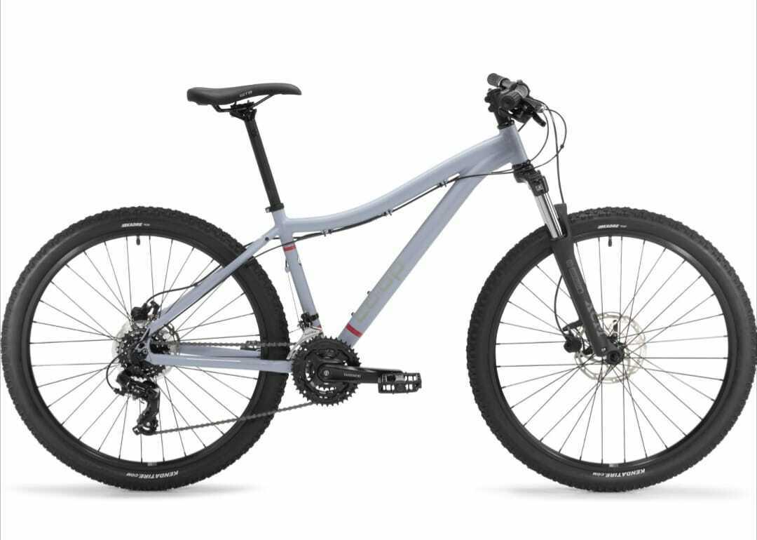 REI CO OP DRT 1.1 Blue