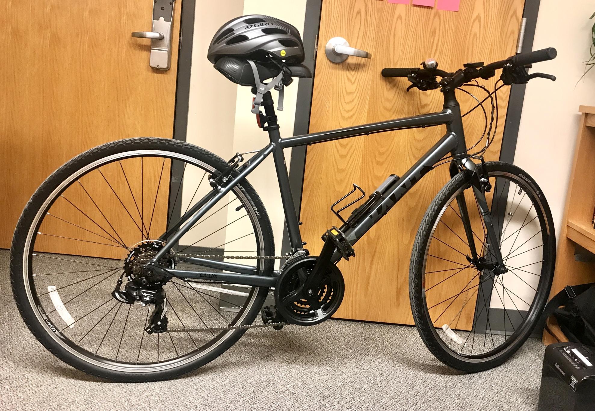 2019 Giant Escape 3 Silver, gray or bare metal