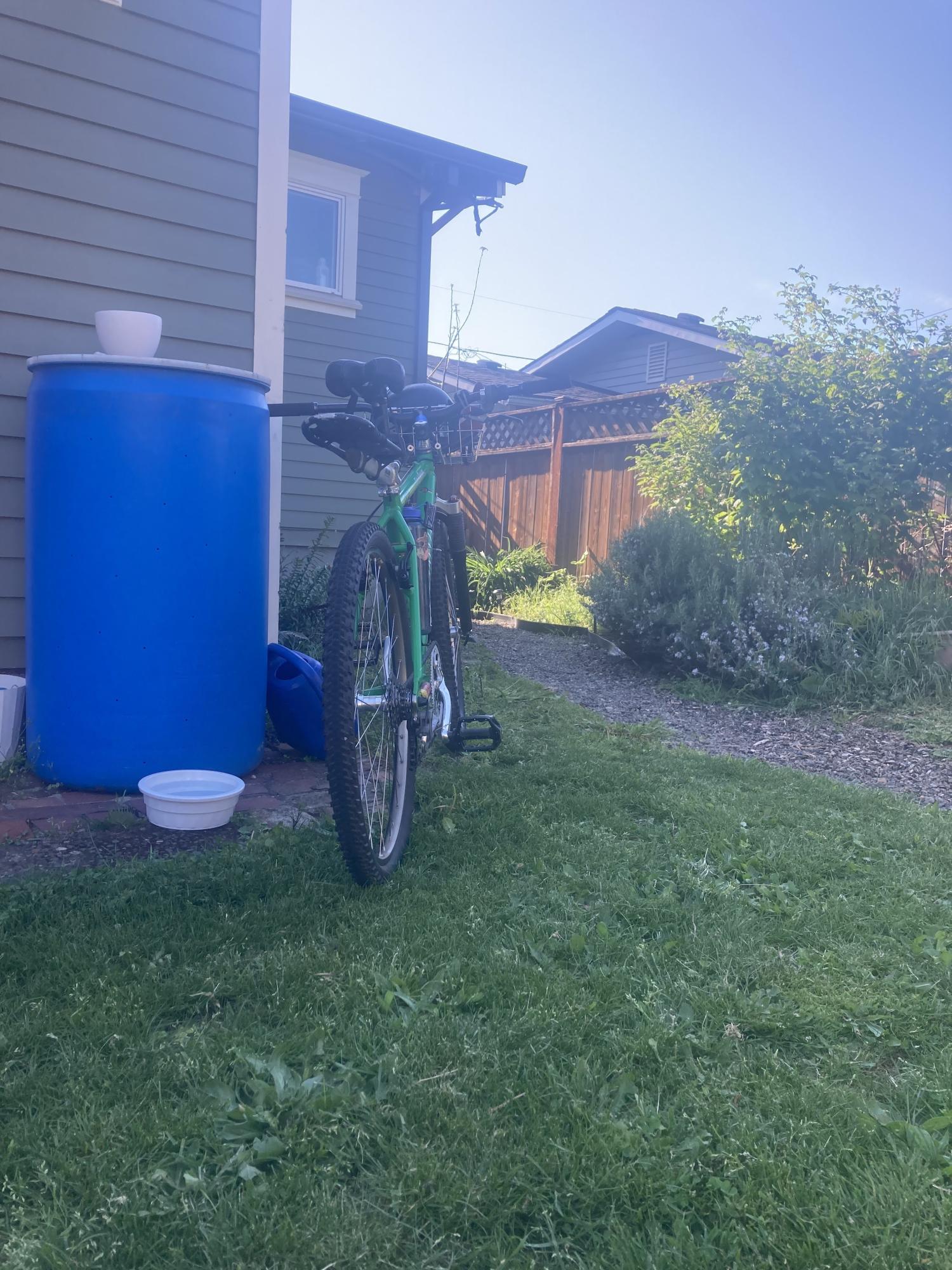 1997 Specialized Stumpjumper Green