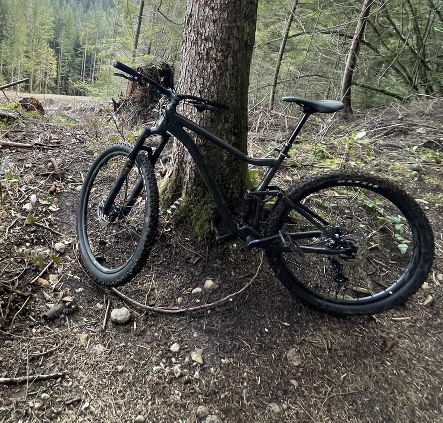 2021 Giant Stance Black