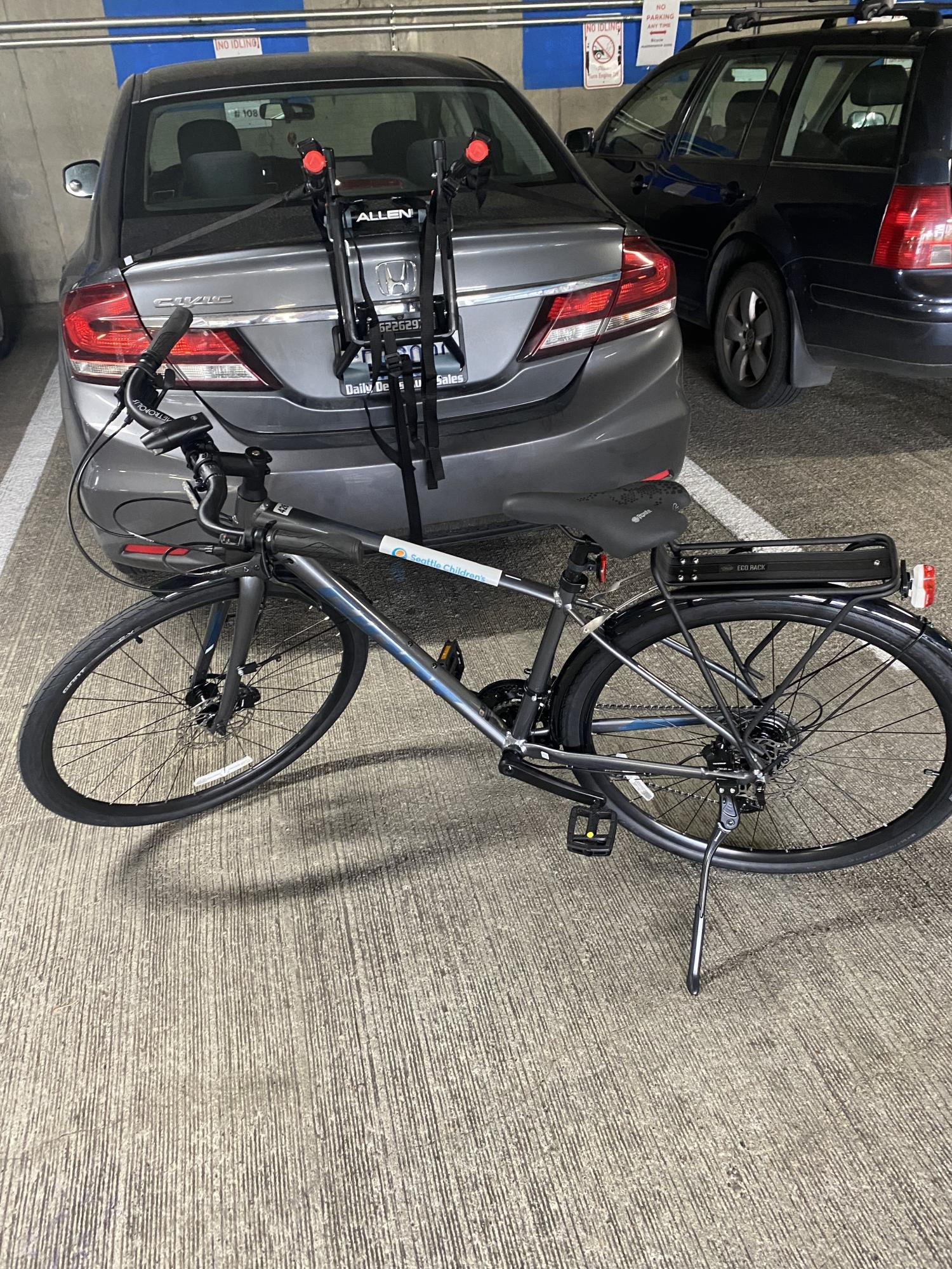 Giant Silver, gray or bare metal