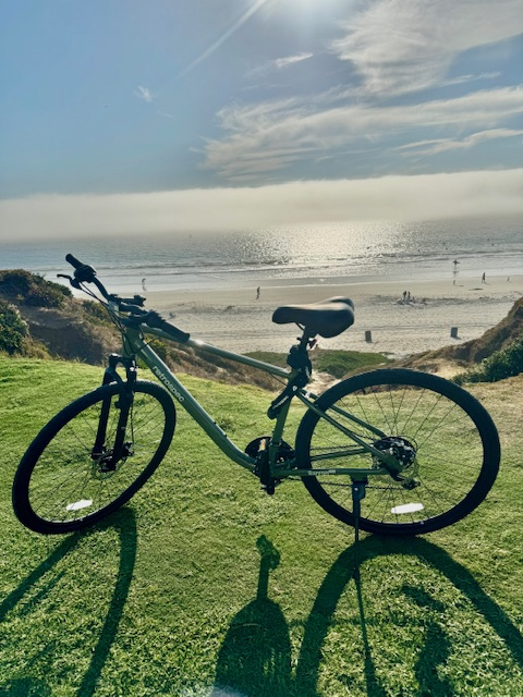 2024 Retrospec Barron Green