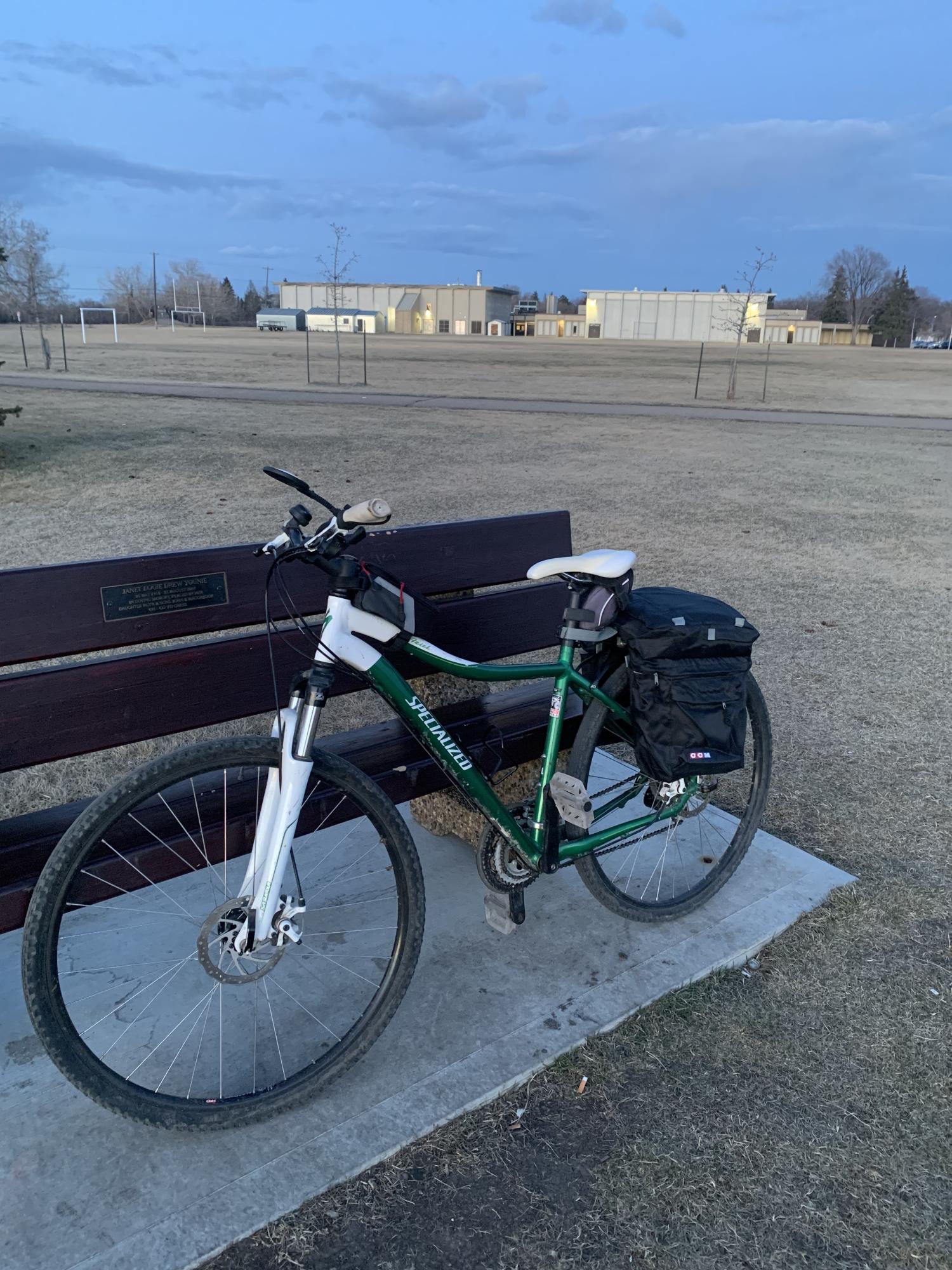 Specialized Ariel Green