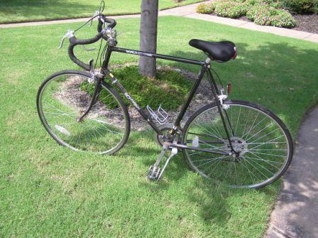 Schwinn World  Black