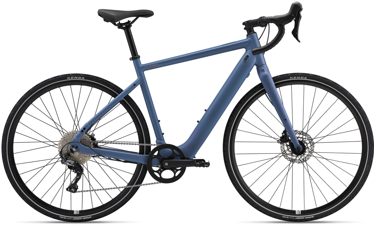 2024 Momentum Voya E+1 Indigo Large Purple