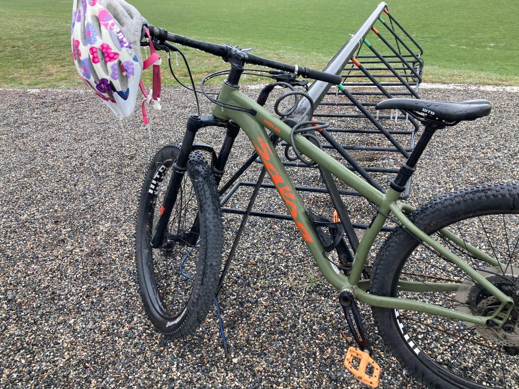 2019 Salsa Timberjack Green