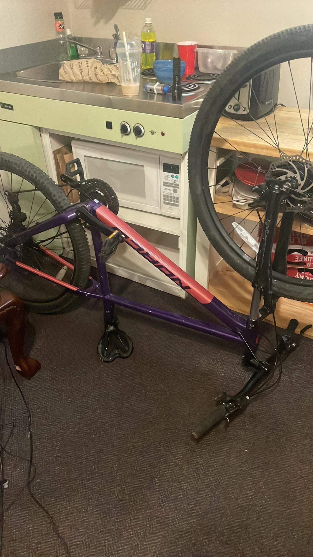 2023 Norco Bikes Storm 5 Purple and Pink