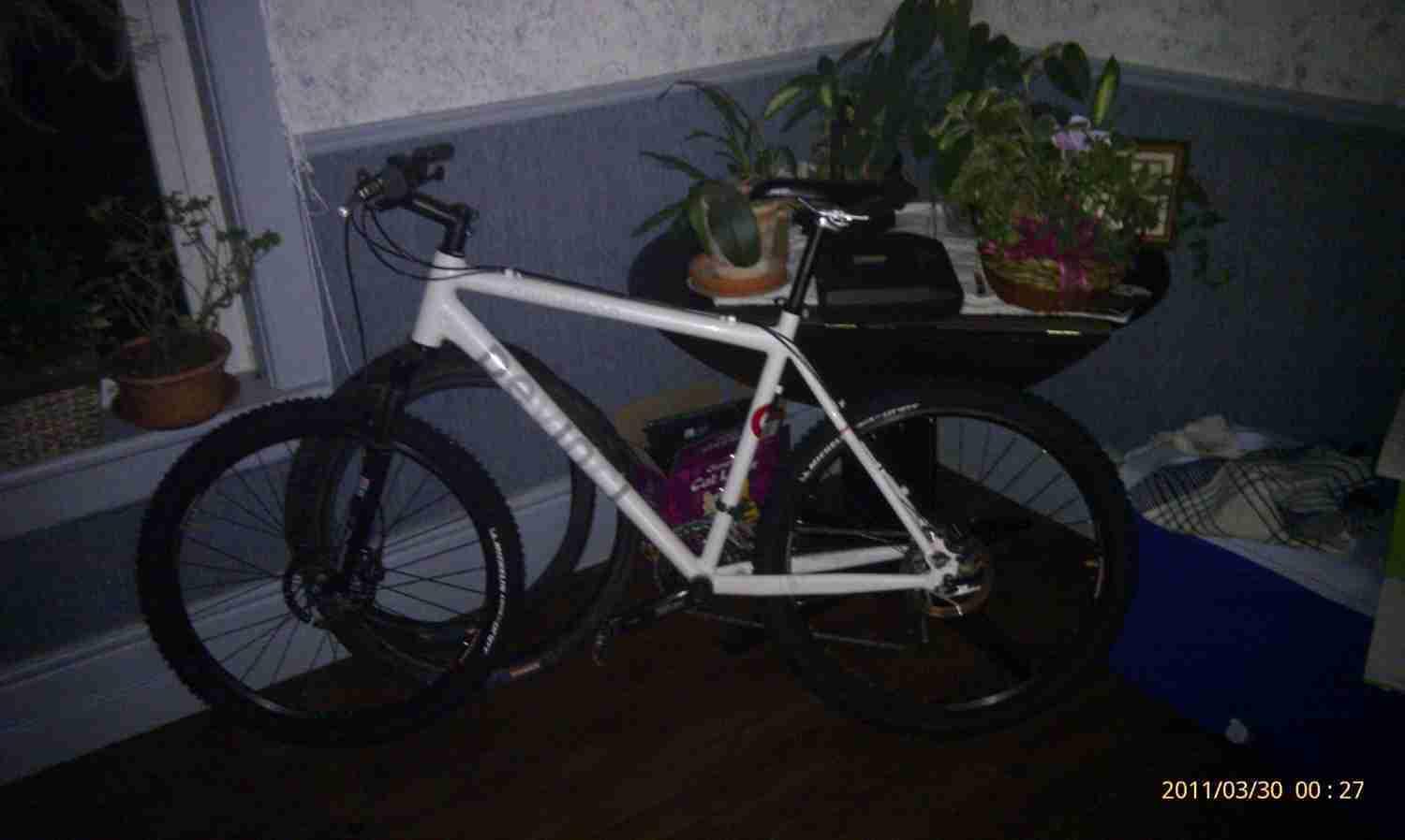 2008 Devinici Cameleon  White