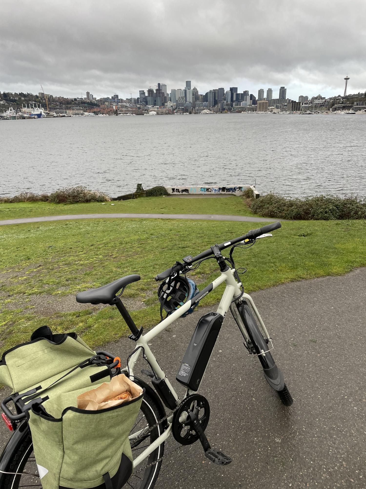 2021 Rad Power Bikes Silver, gray or bare metal