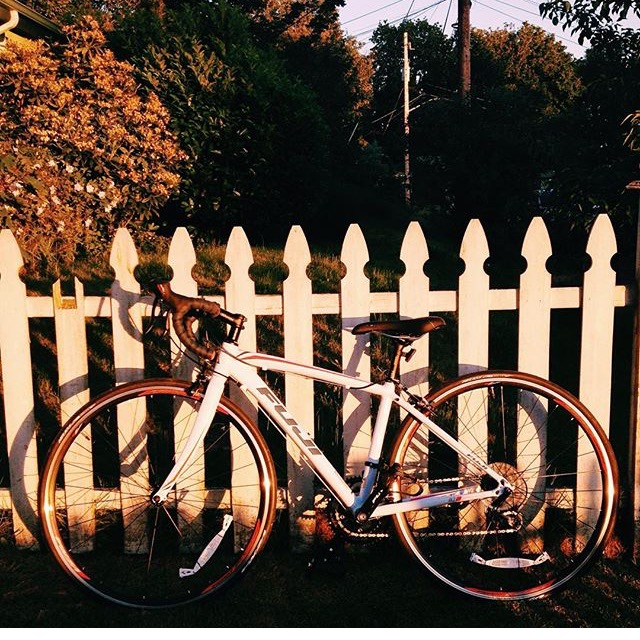 2016 Fuji Finest 2.3 Blue