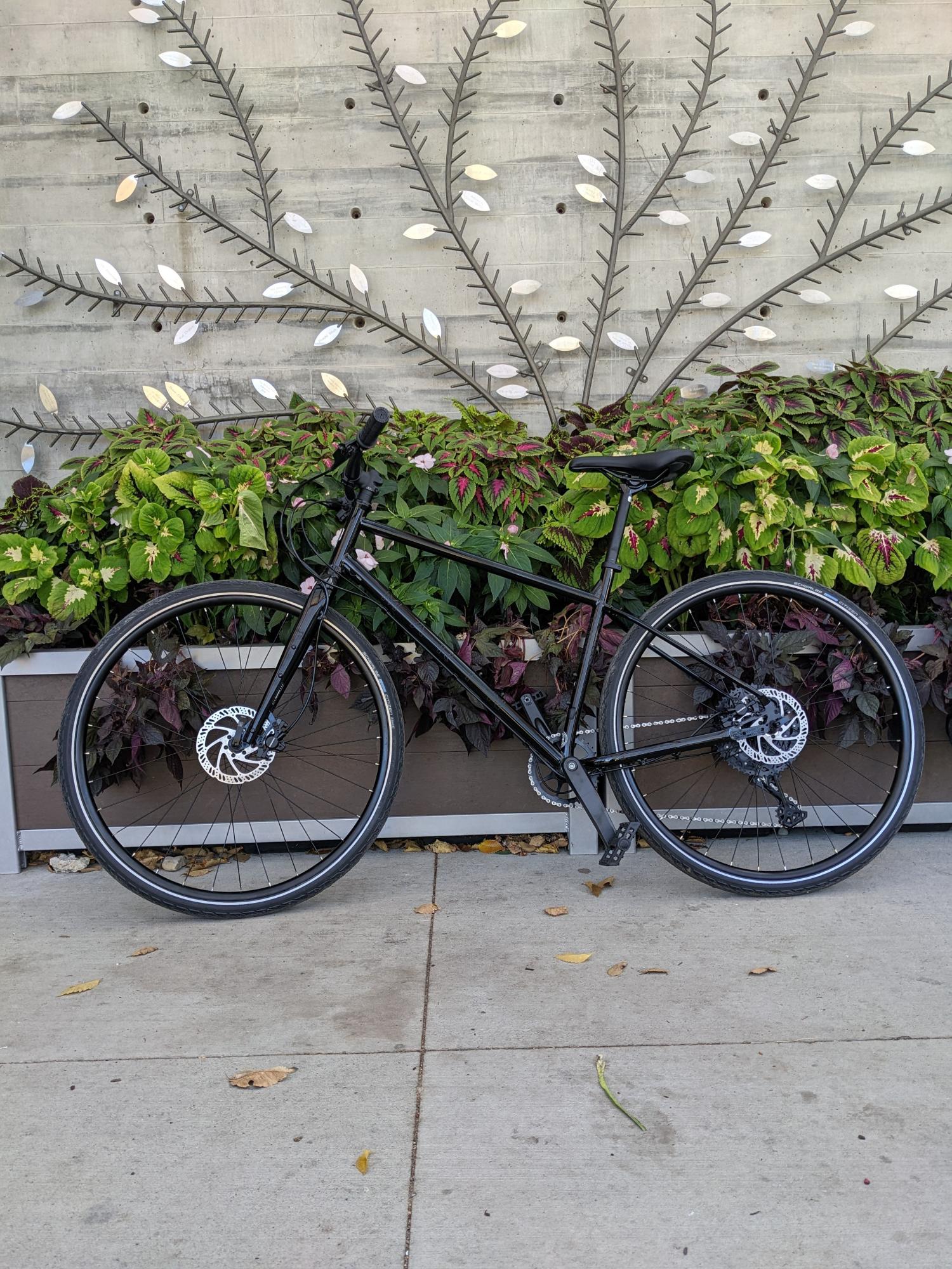 2022 Marin Bikes Muirwoods Black