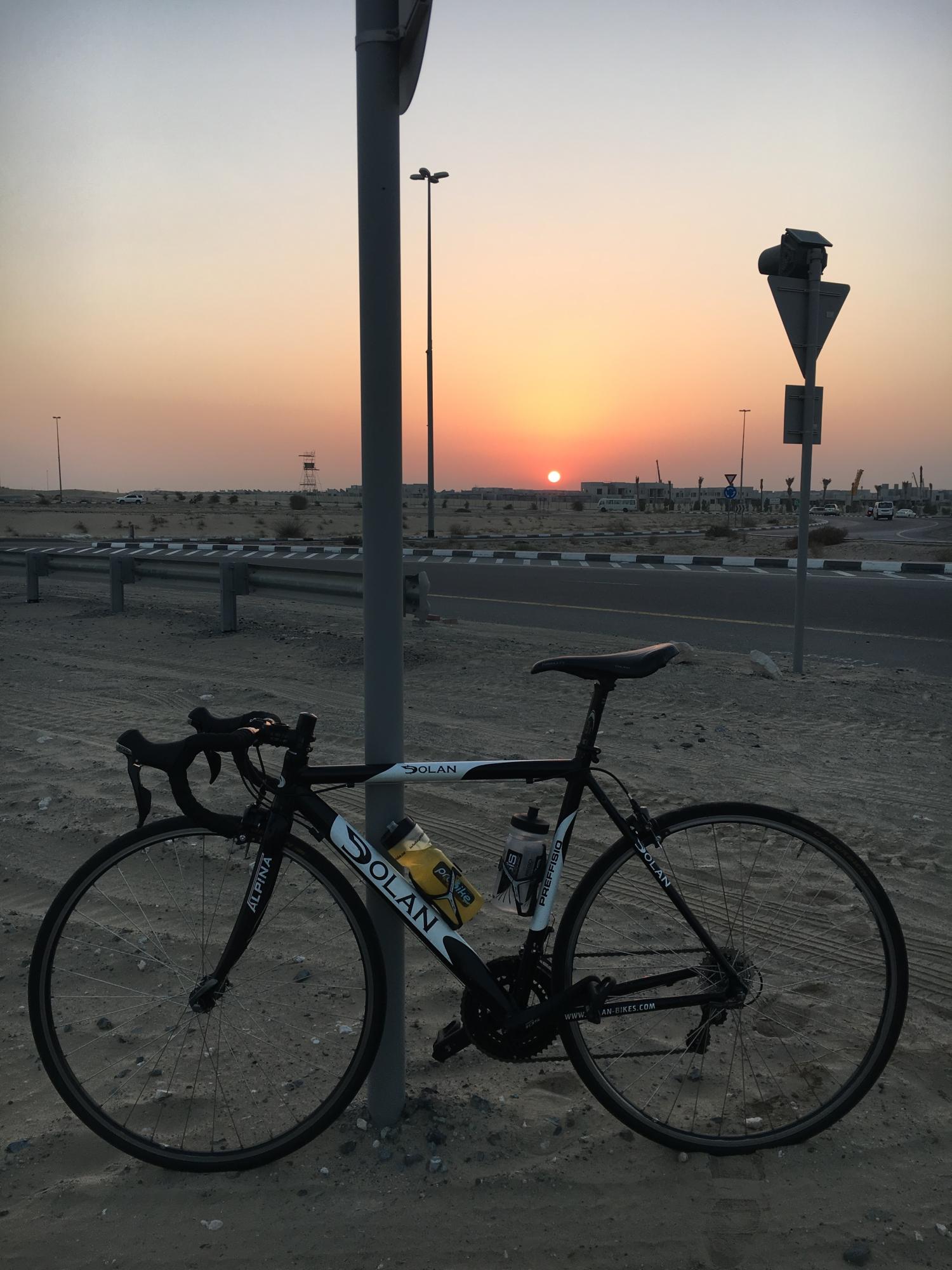 2011 Dolan Preffisio Black and White