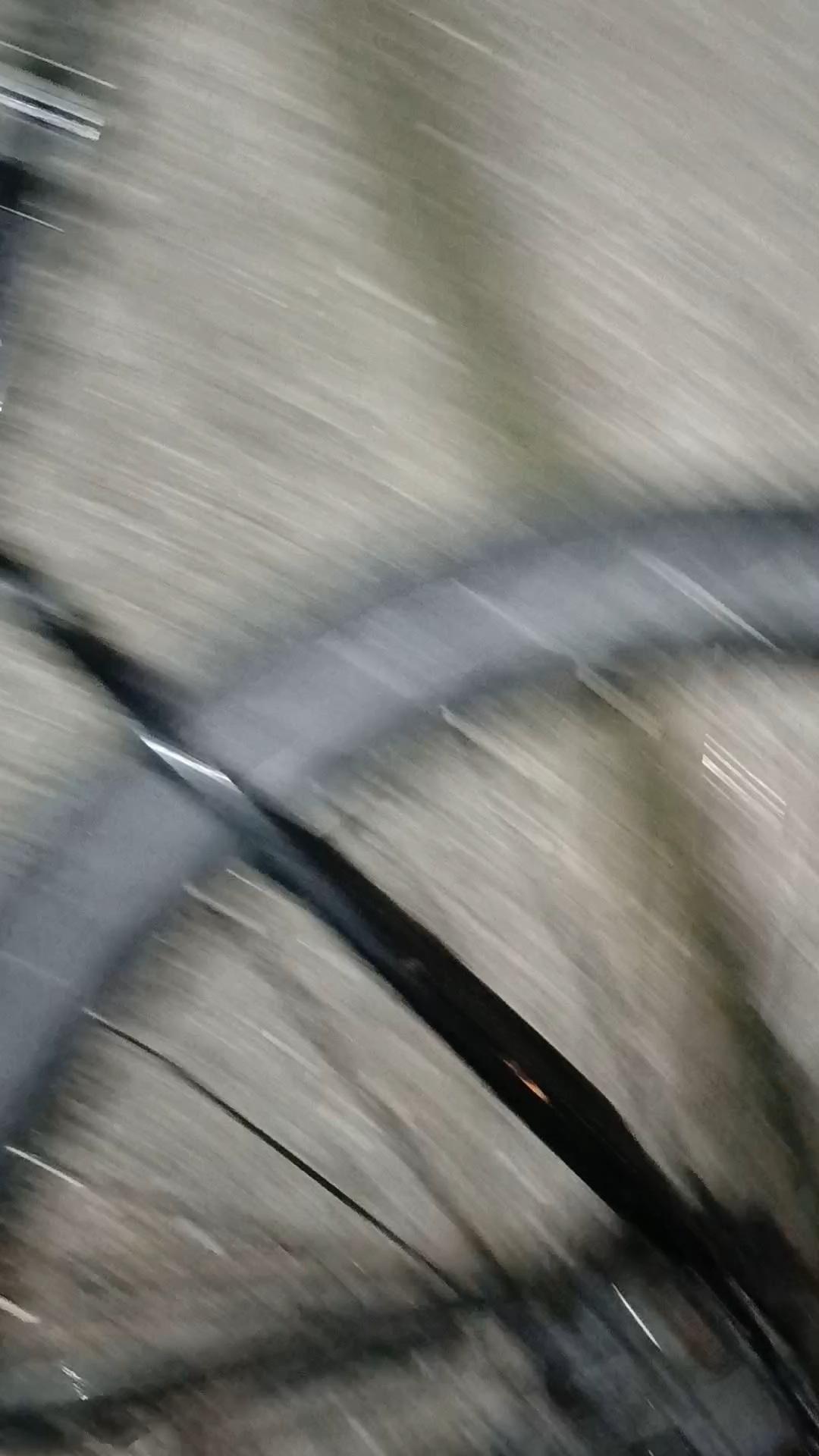 2023 Marin Bikes Wildcat trail three Black and Teal