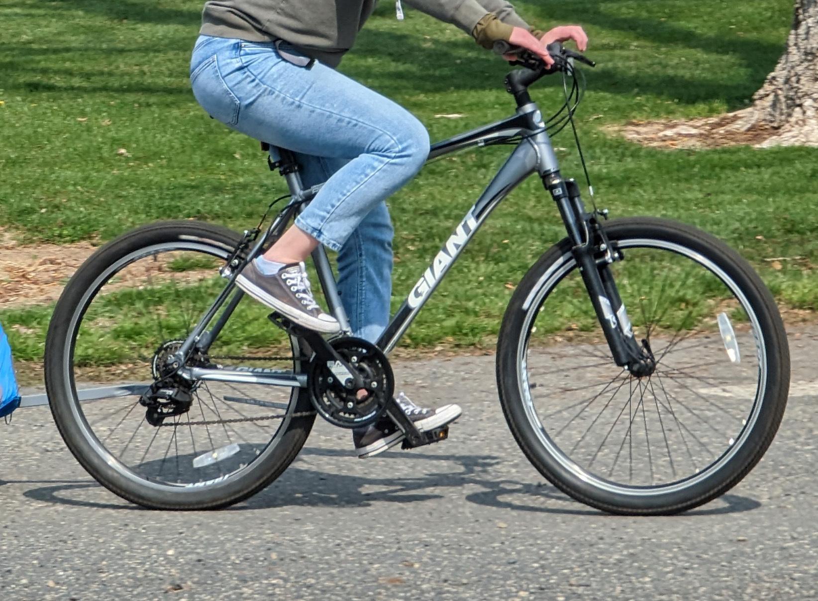 Giant Revel 2 Silver, gray or bare metal