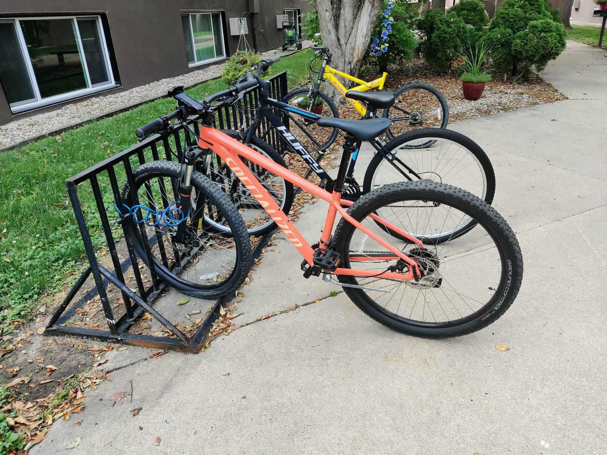 2022 Specialized Hardtail Orange