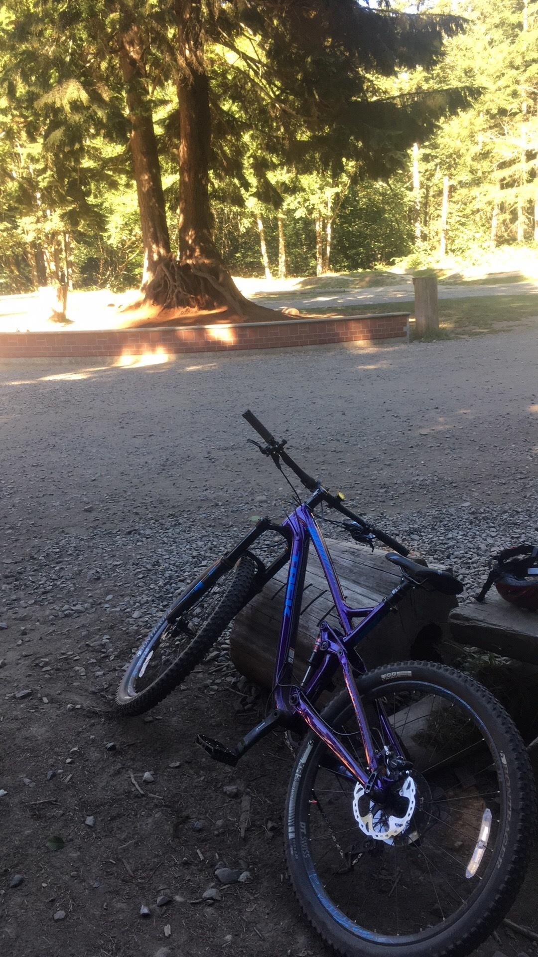 2015 Trek REMEDY 9 Purple