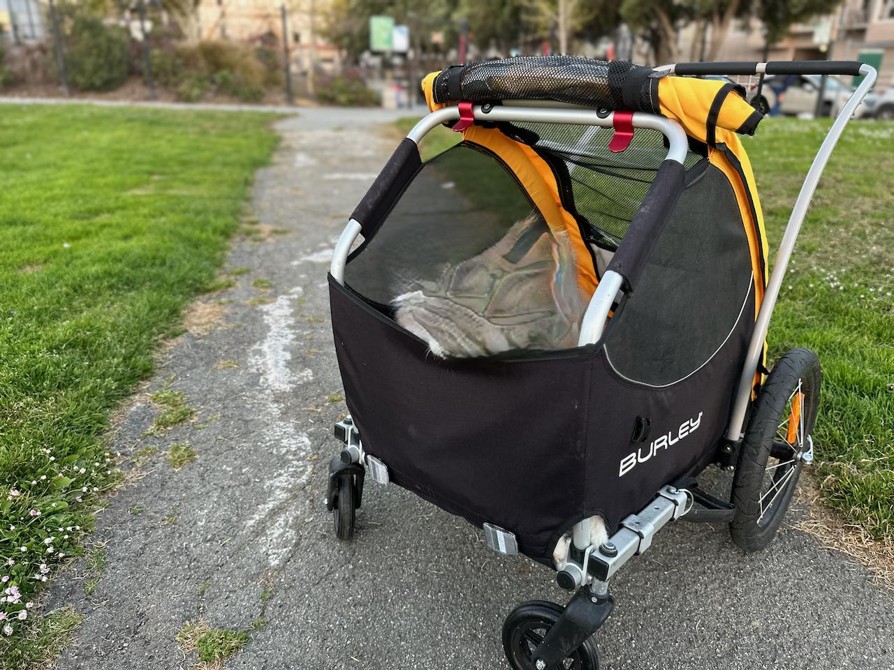 2021 Burley Design Tail Wagon bike trailer Yellow or Gold