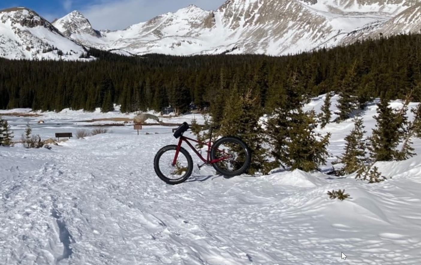 2020 Trek farley c Red