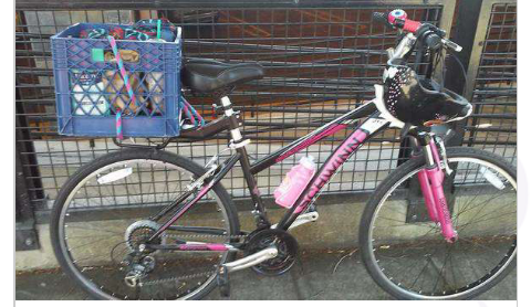 Schwinn sidewinder Black and Pink