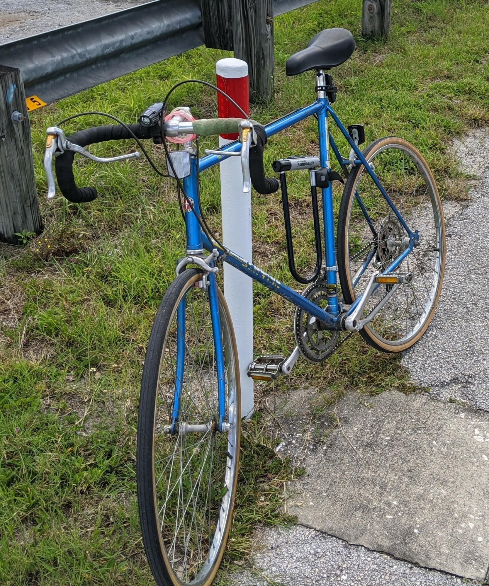 Schwinn Blue