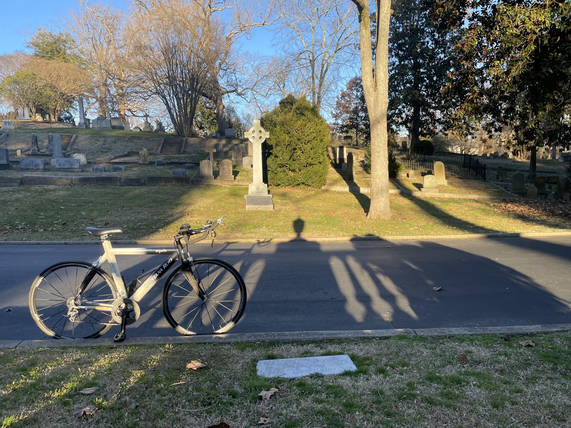 Quintana Roo Taquilo White and Blue
