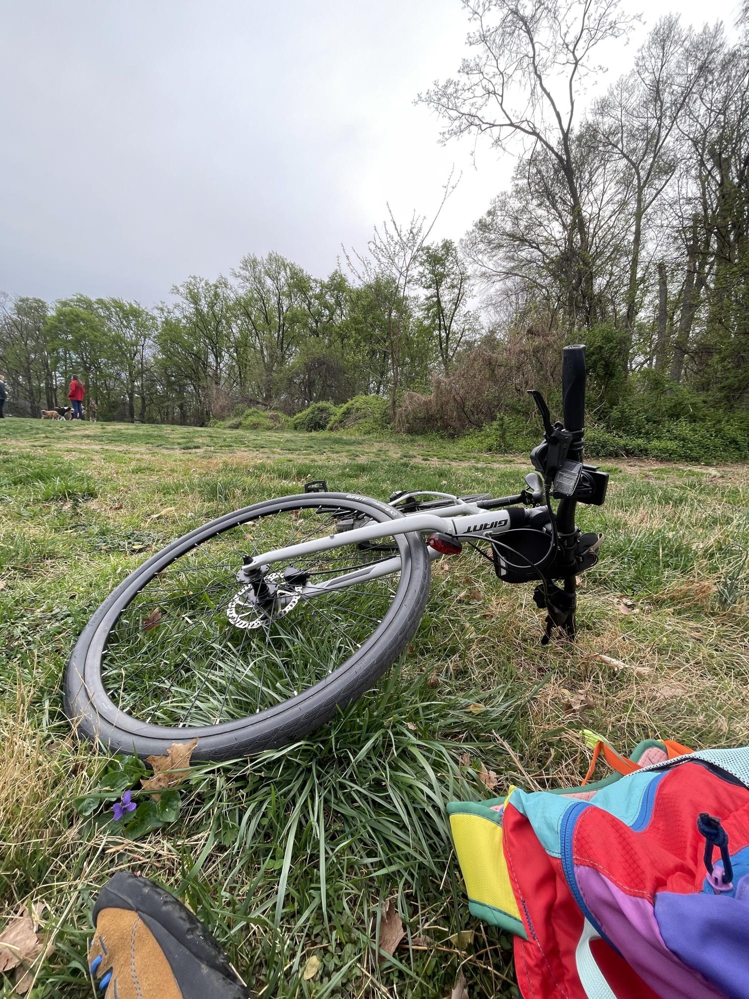 2021 Giant Escape 2 Silver, gray or bare metal