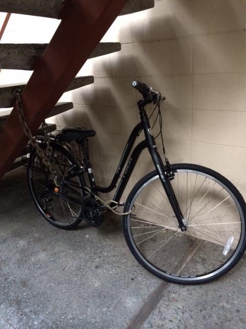 2015 Trek Verve 13