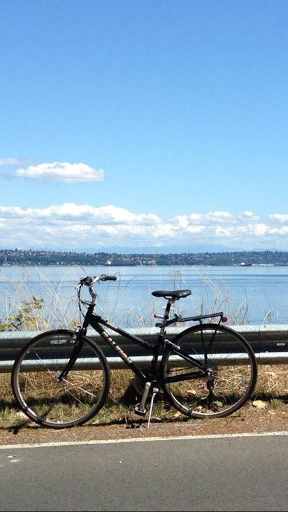 2004 Raleigh C40 Green