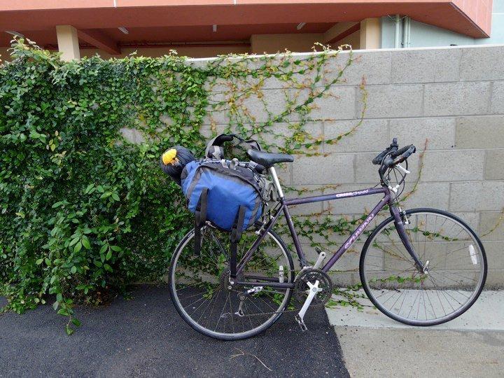 1972 Schwinn Criss-cross  Purple