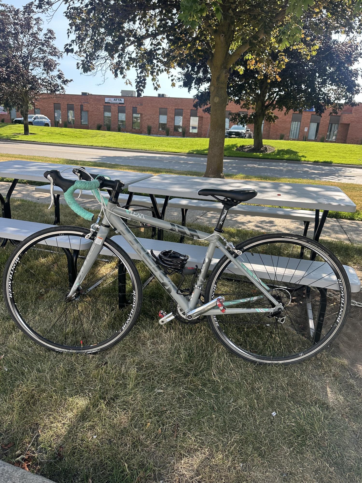 Trek Lexa S Silver, gray or bare metal