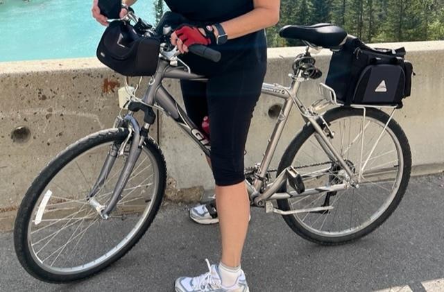 2004 Giant Sedona LX Silver, gray or bare metal