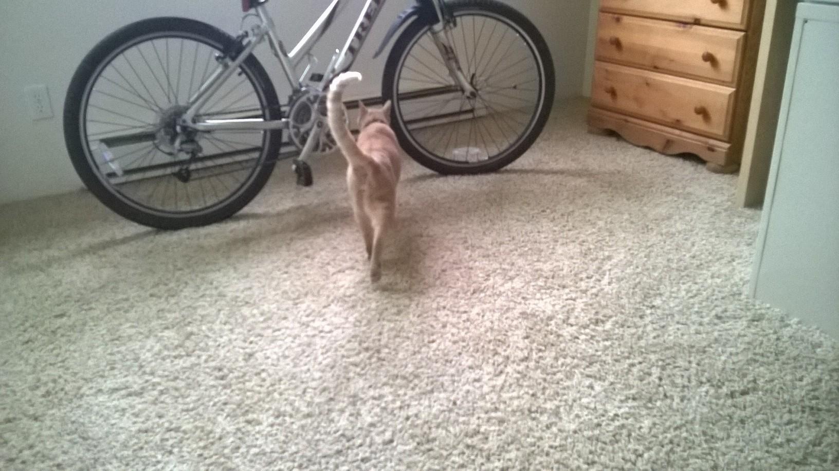 2004 Trek 300  Silver or Gray