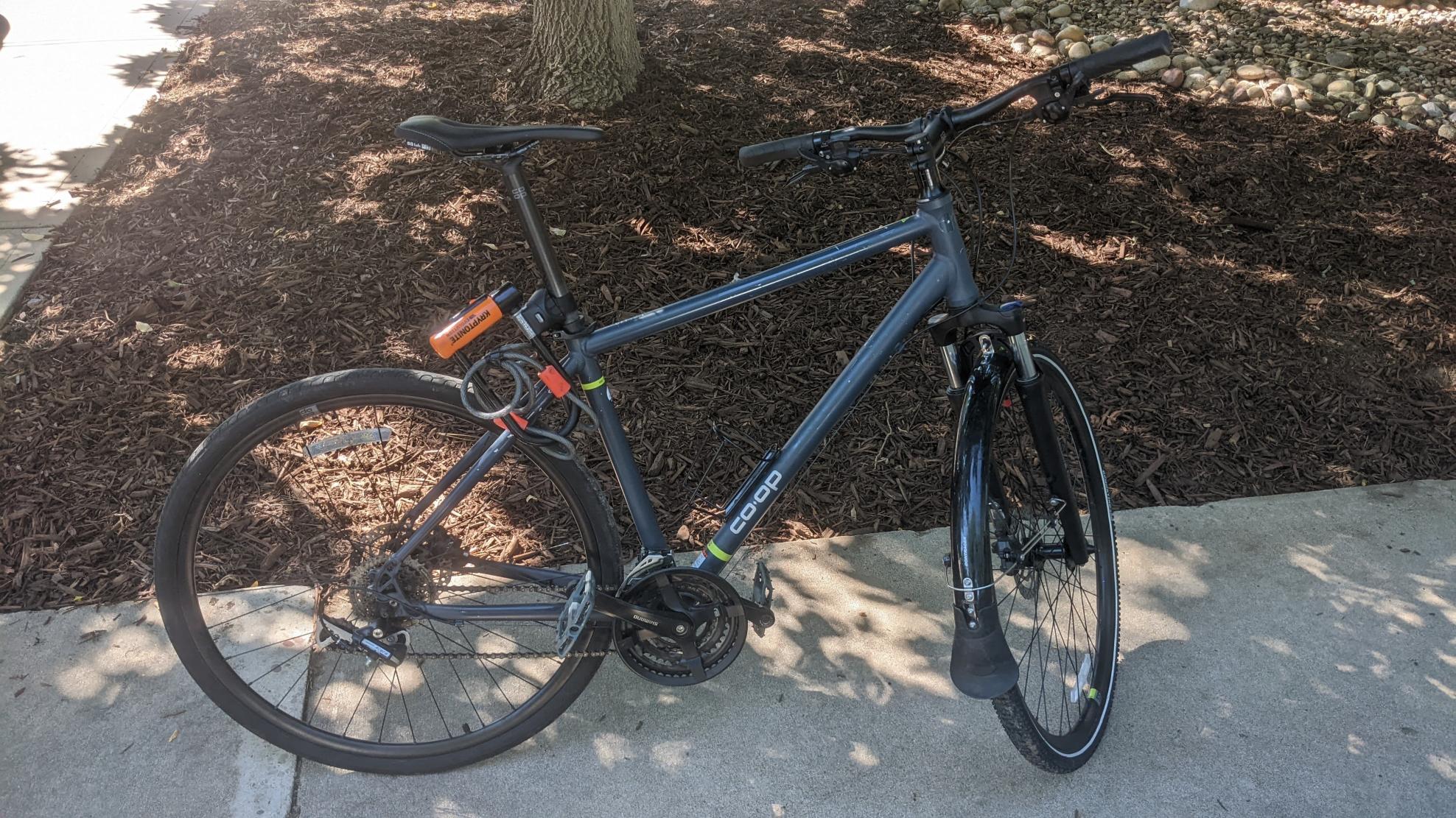 2020 REI CTY 2.1 Blue