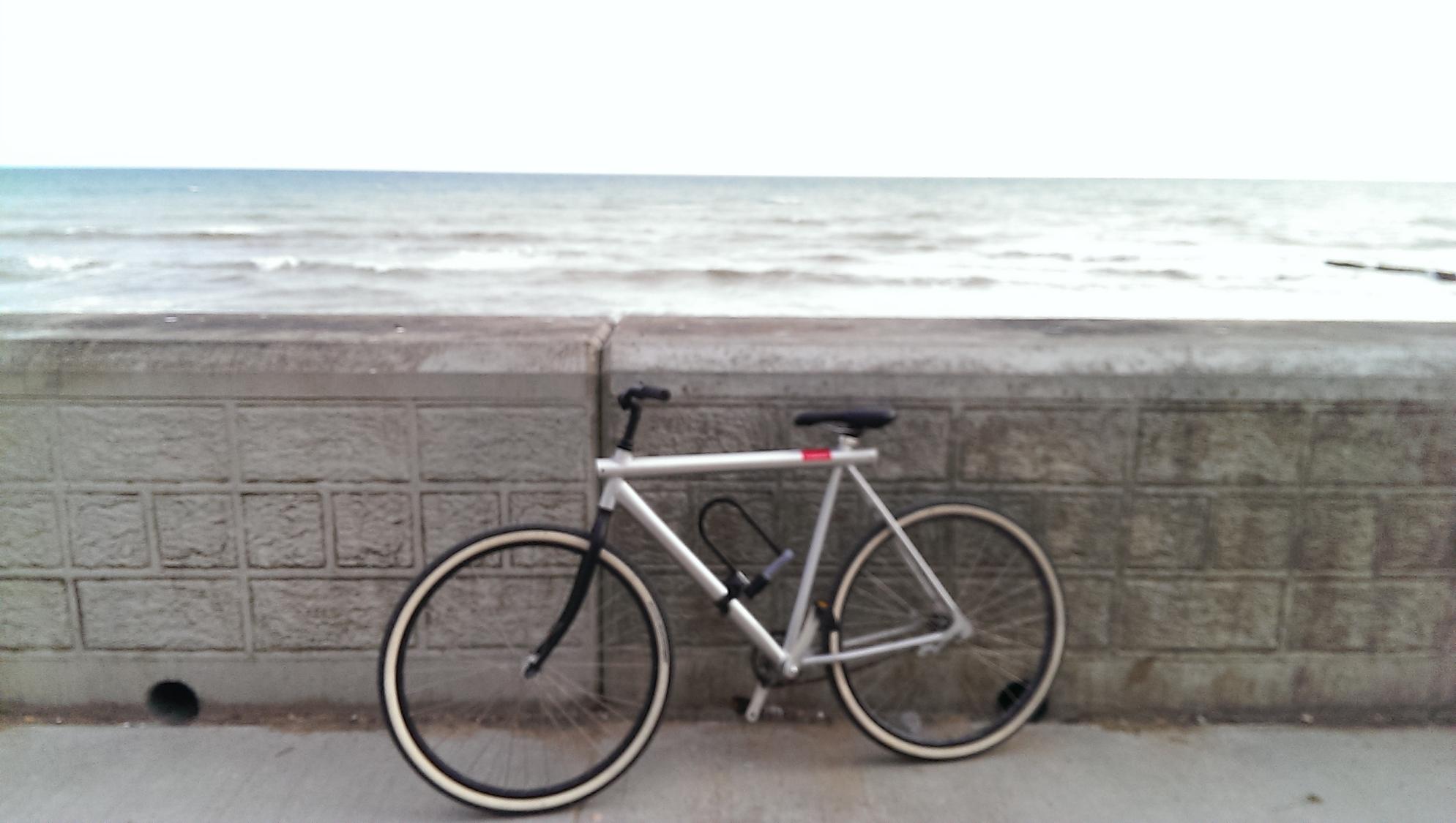 2012 Vanmoof  Silver or Gray