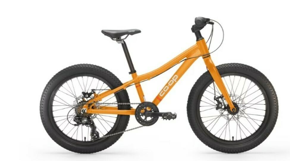 2024 REI Co-op REV 20 6-Speed Plus Kids' Mountain Bike Yellow or Gold