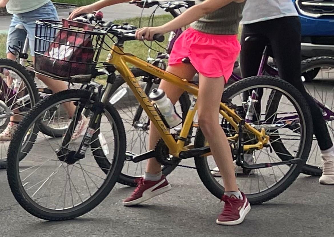 2006 Devinci Mission XS Yellow or Gold