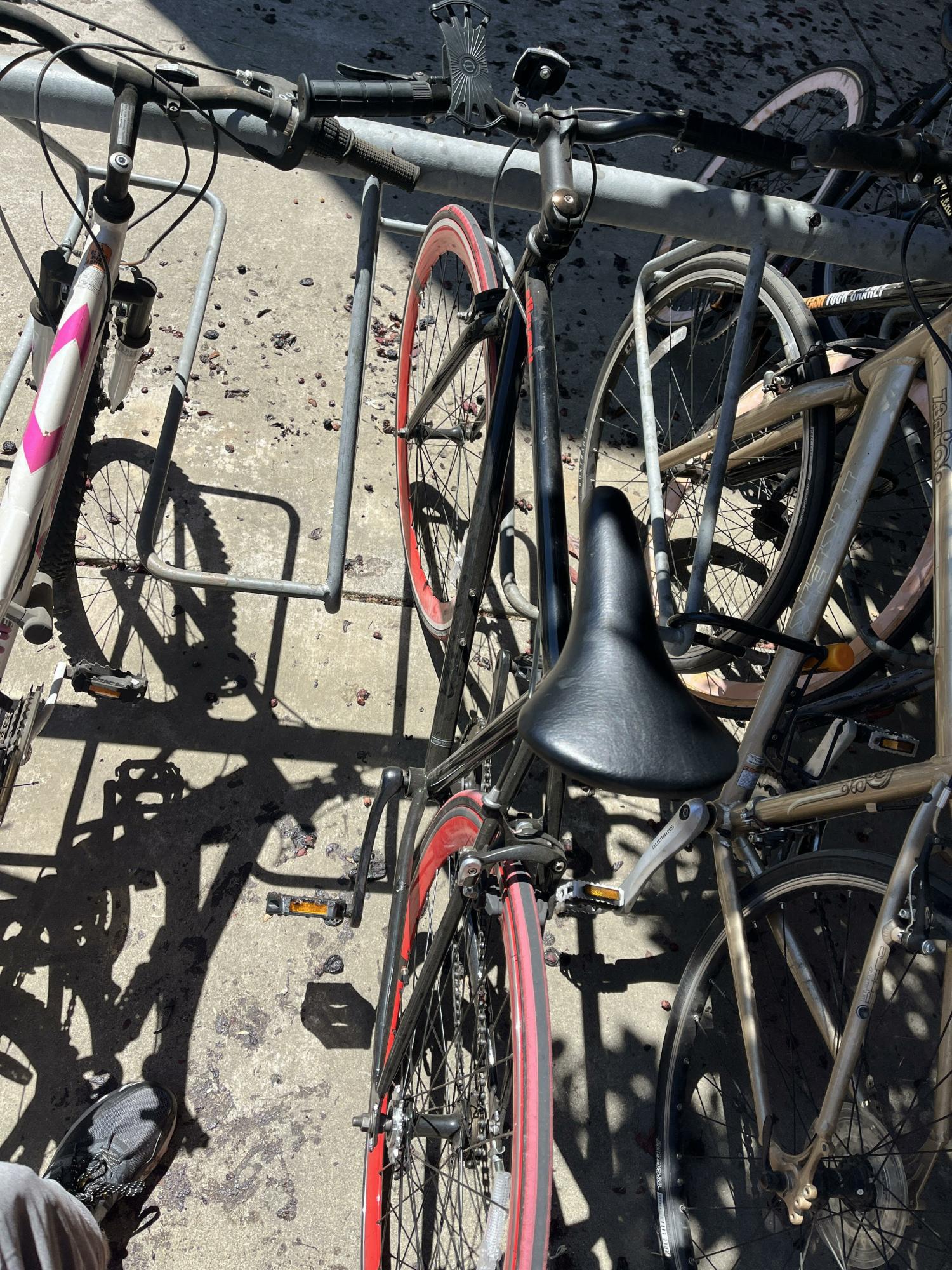 2024 e11even Single speed Black and Red