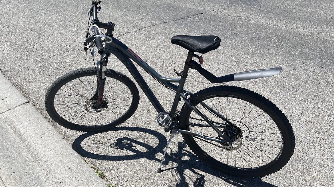 2014 Norco Bikes Storm Alloy XC Silver, gray or bare metal