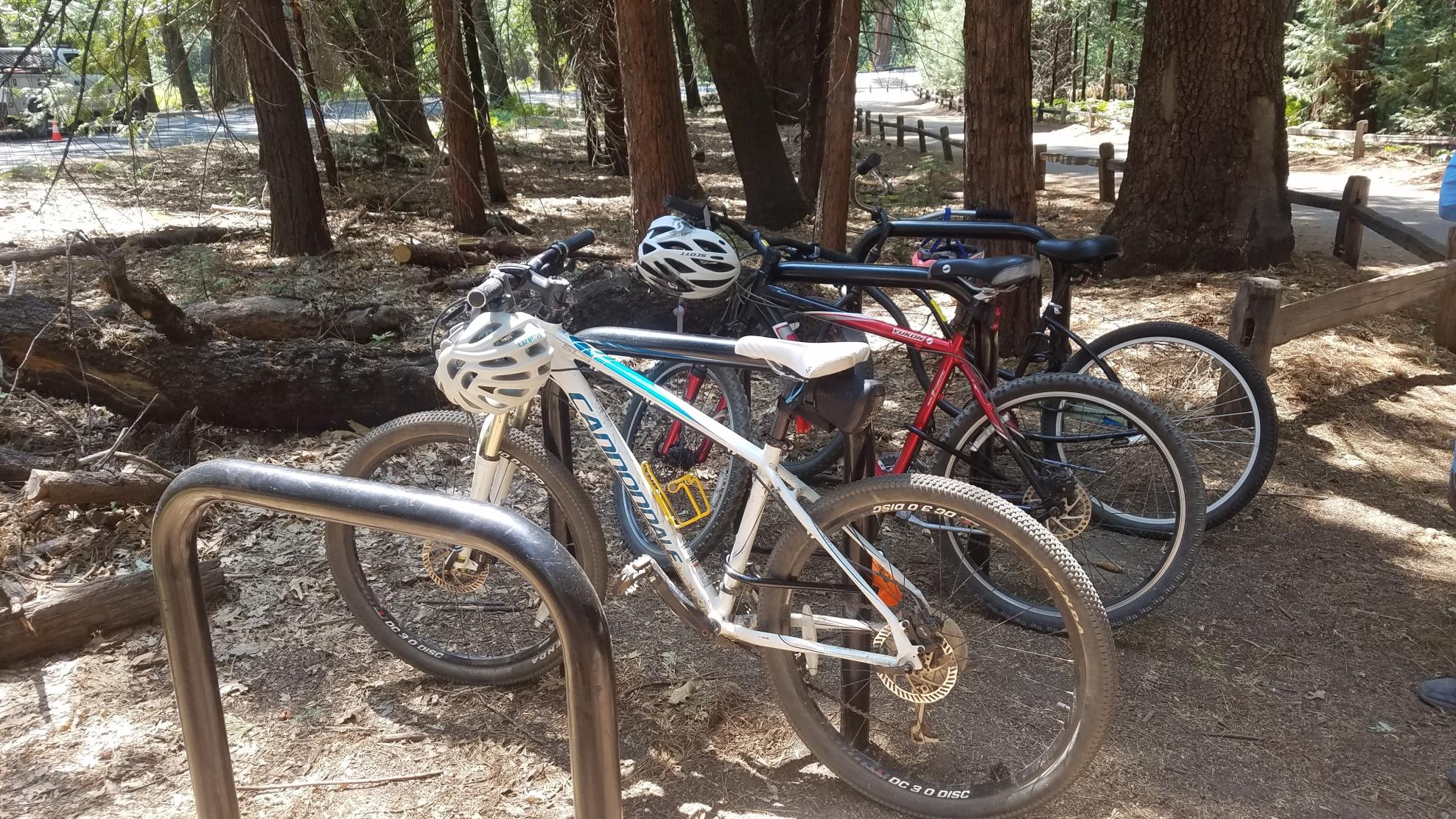 Cannondale Trail Sl 3 White