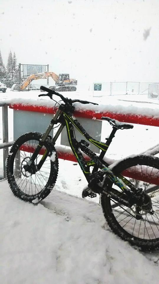 2014 Specialized Status II Black and Green