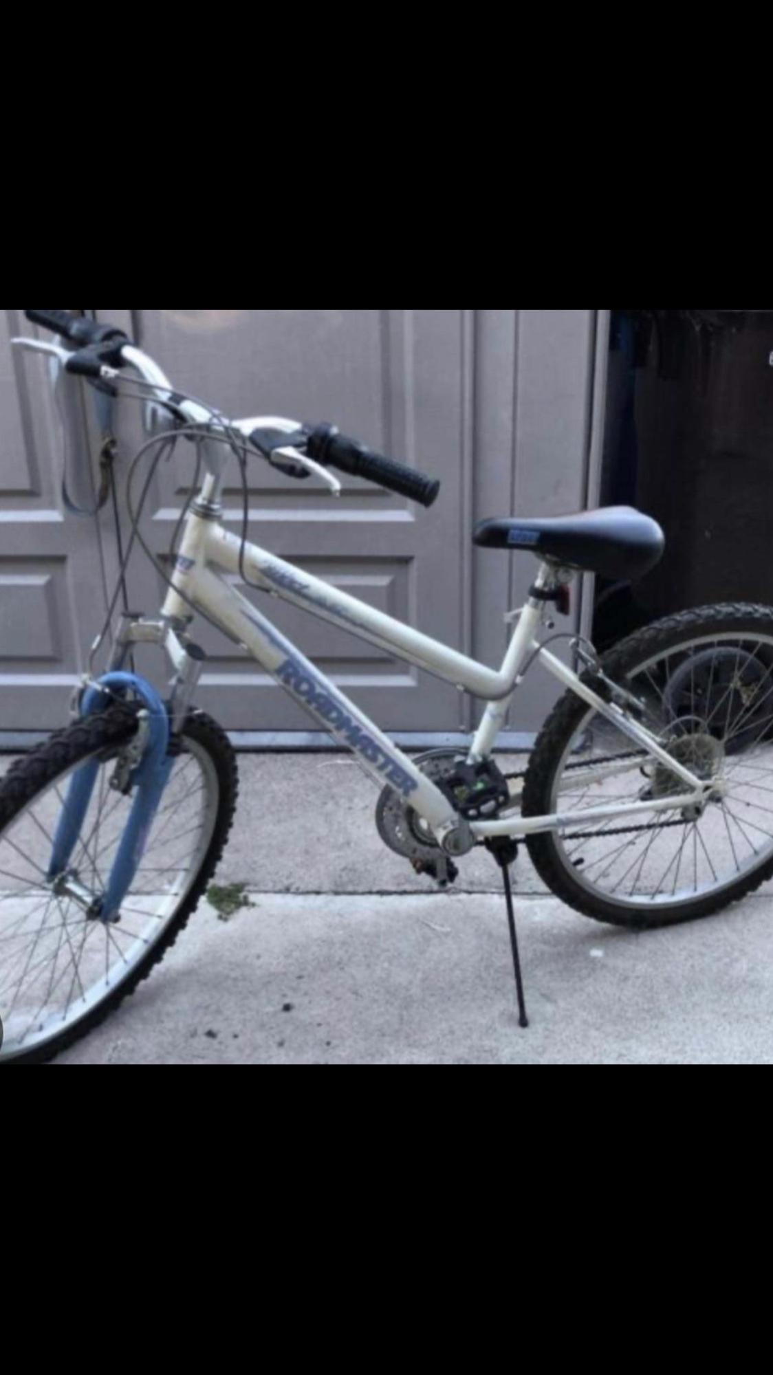 2007 Roadmaster 070063217 White and Blue